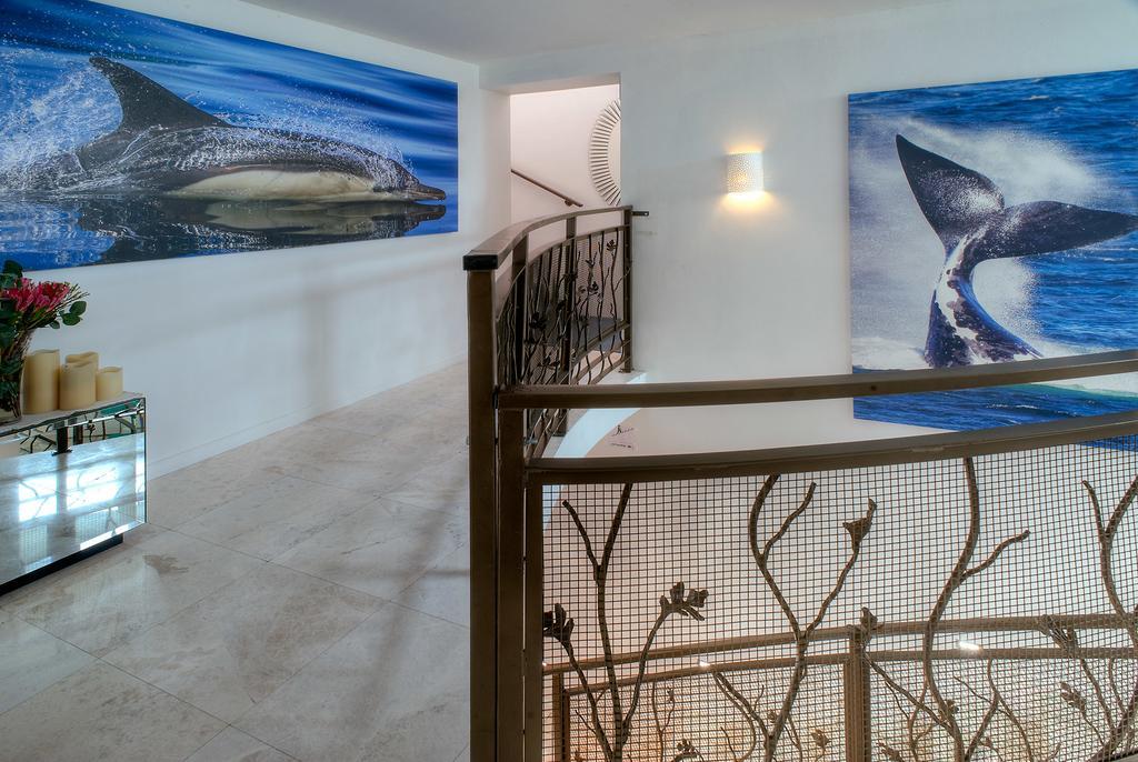 Sea Star Cliff Villa Gansbaai Kültér fotó